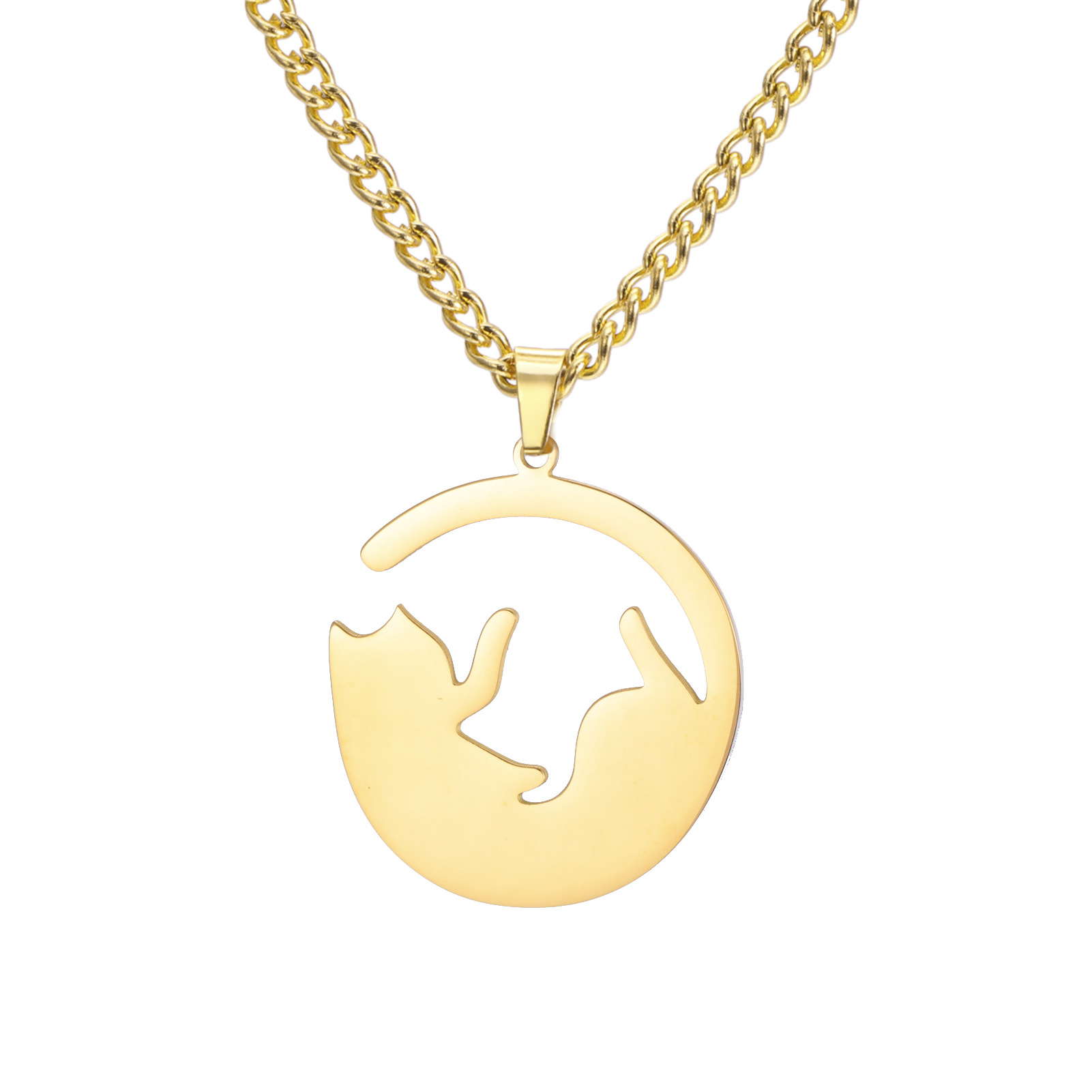 12:Golden belly-turning kitten