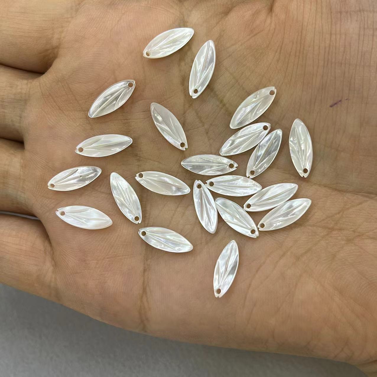 5:White shell leaves 5*13mm