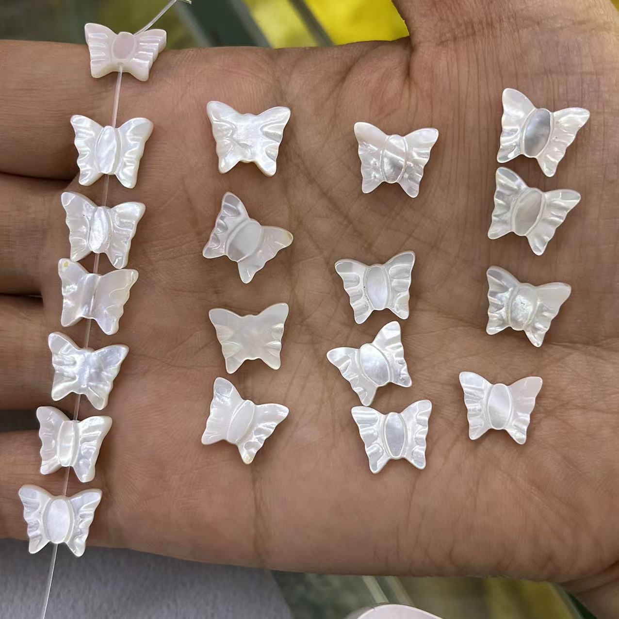 White shell butterfly 10*12MM