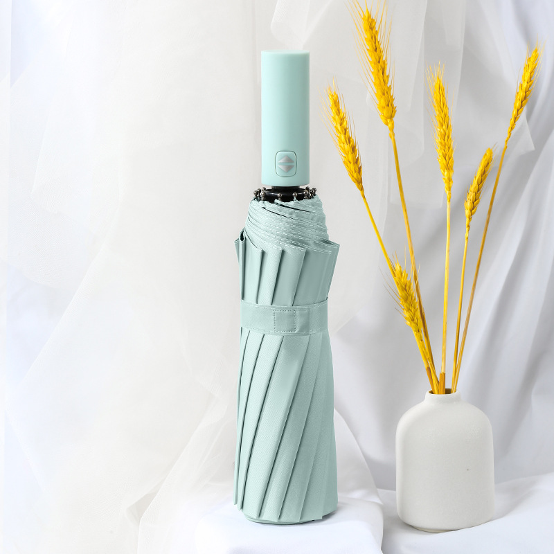 12 bone automatic vinyl-bean paste Green