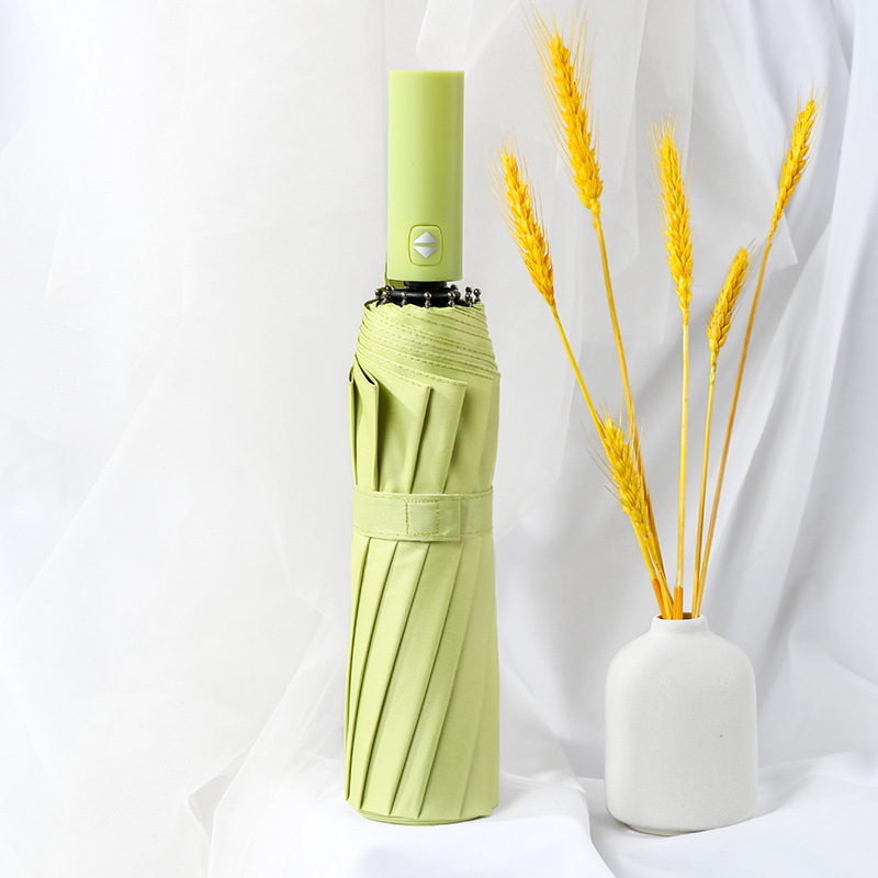 12 Bone Automatic Black-Matcha Green