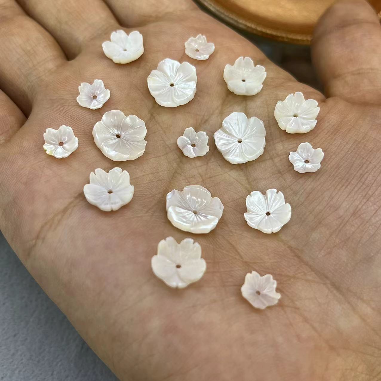 4:12MM White Lip Shell