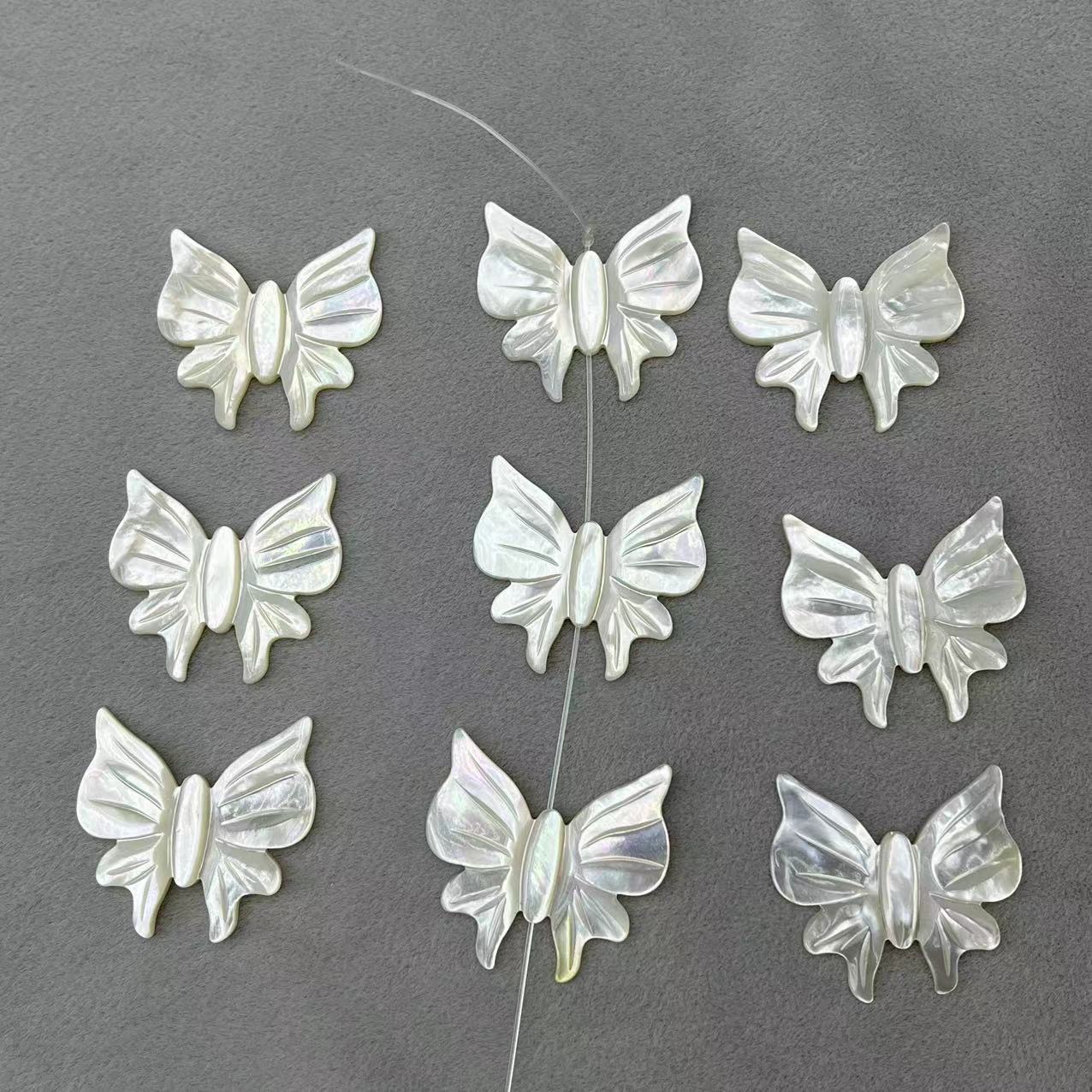1 White Lip Shell