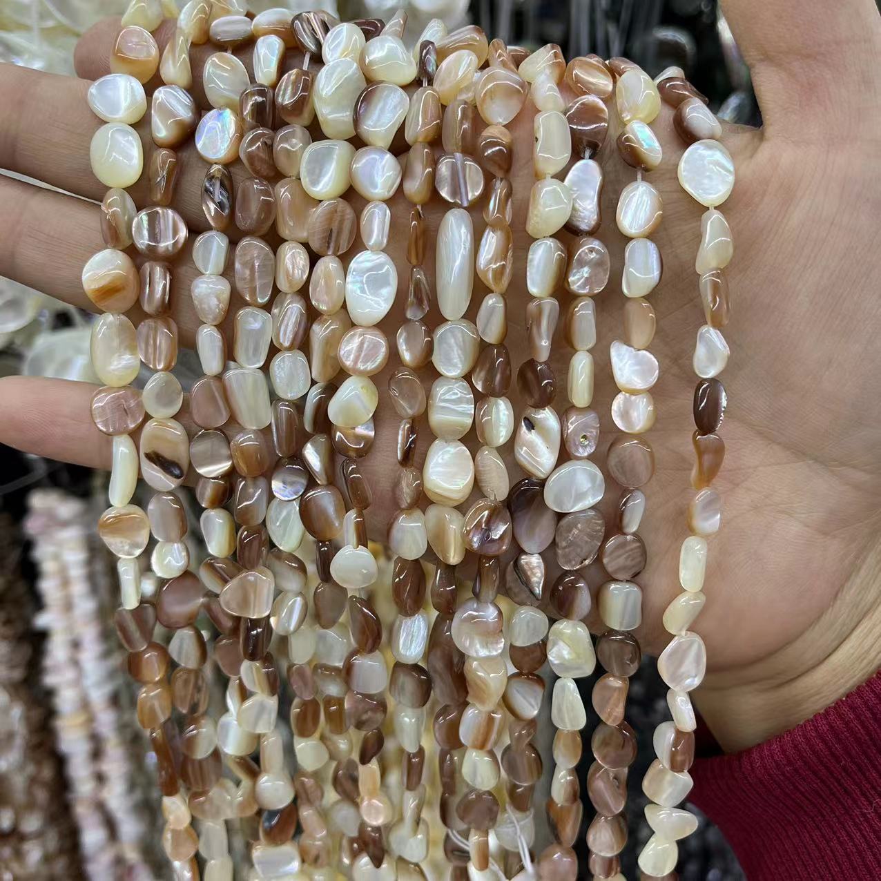 6:Penguin shell 5-8MM/about 41 pieces