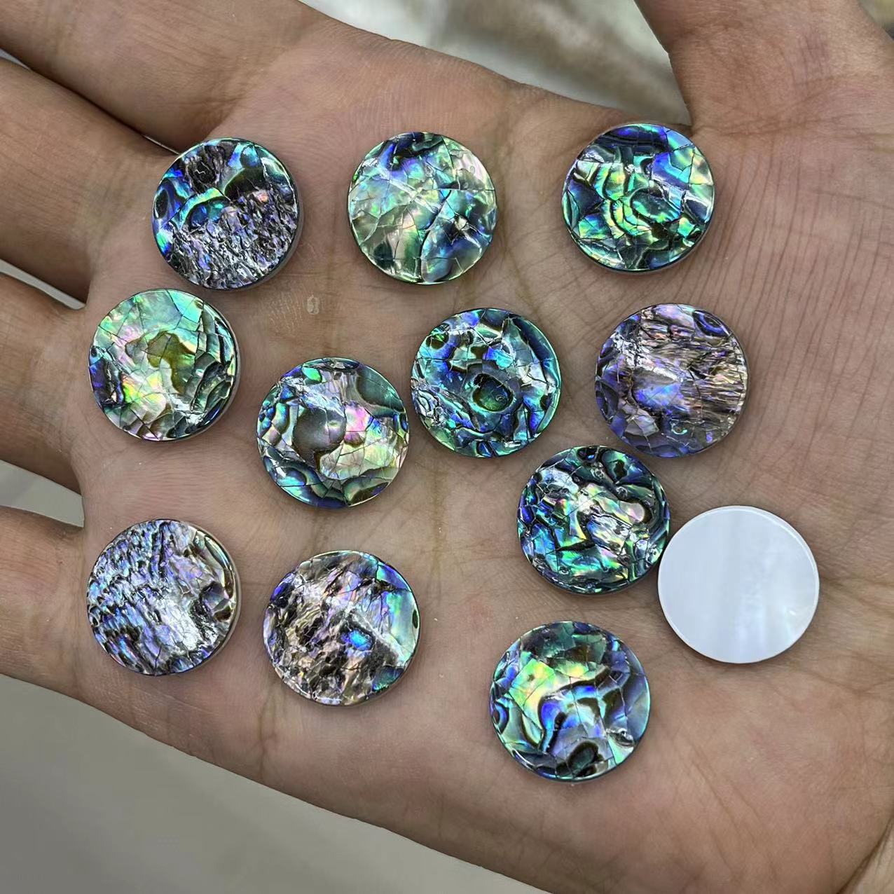 2 abalone shell
