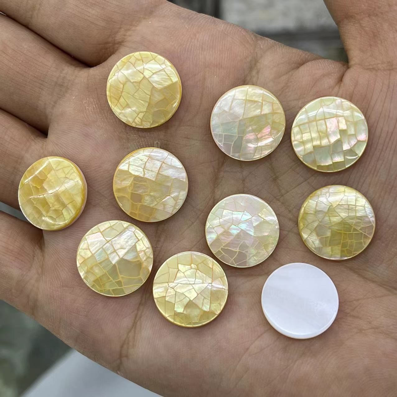 4 yellow shell