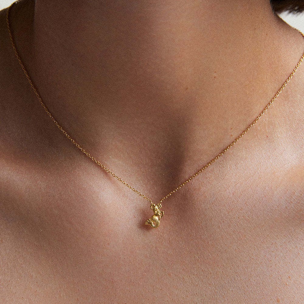 12 Capricorn