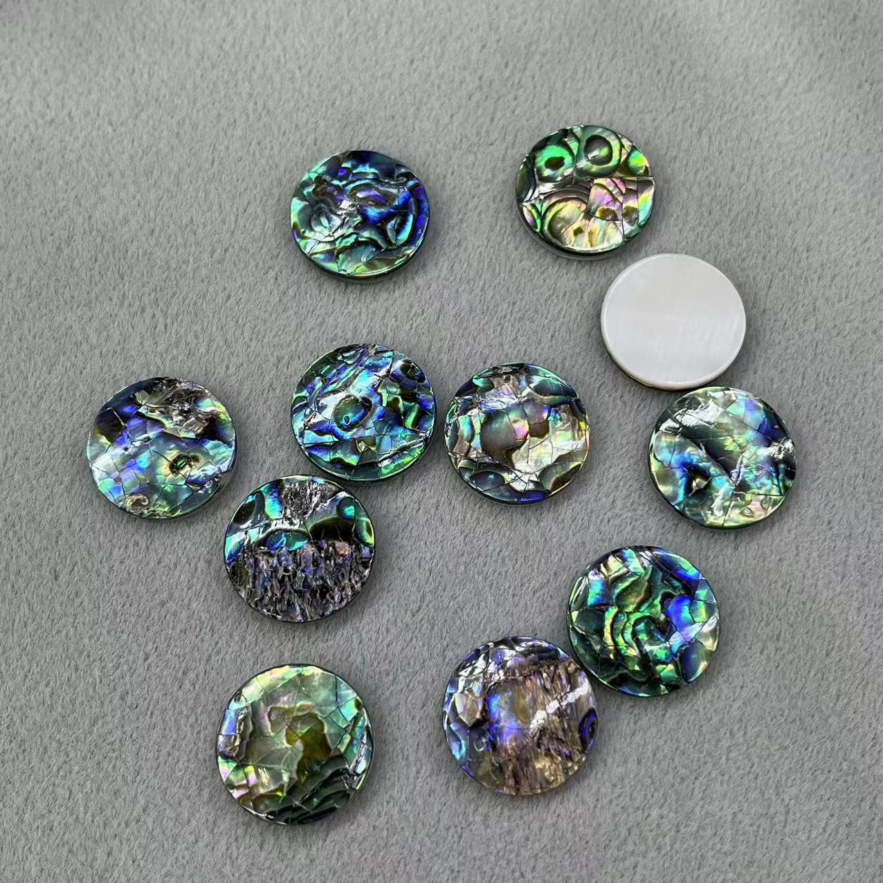 2 abalone shell