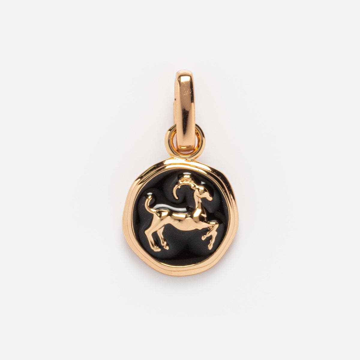 10:Capricorn pendant