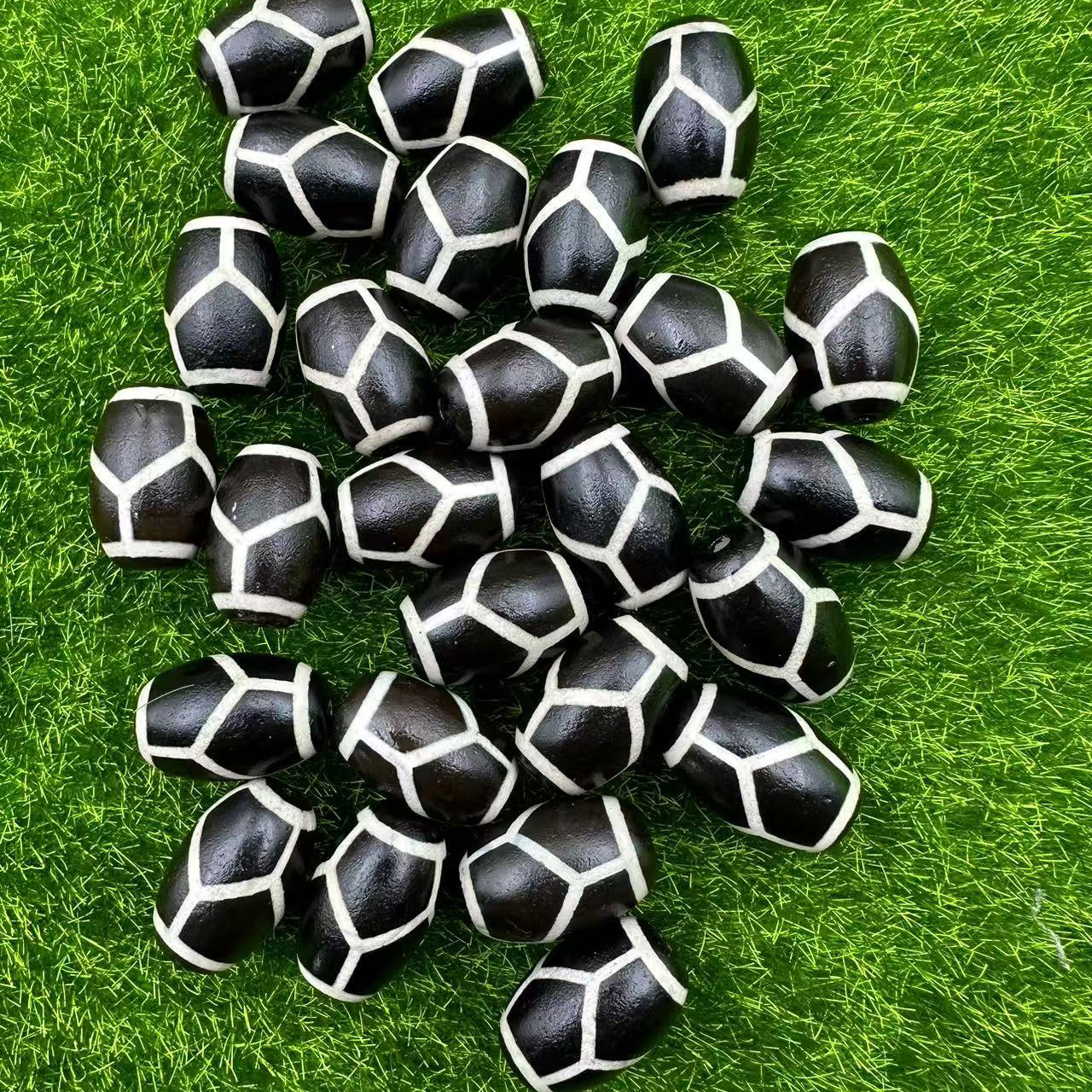 2:Turtle shell