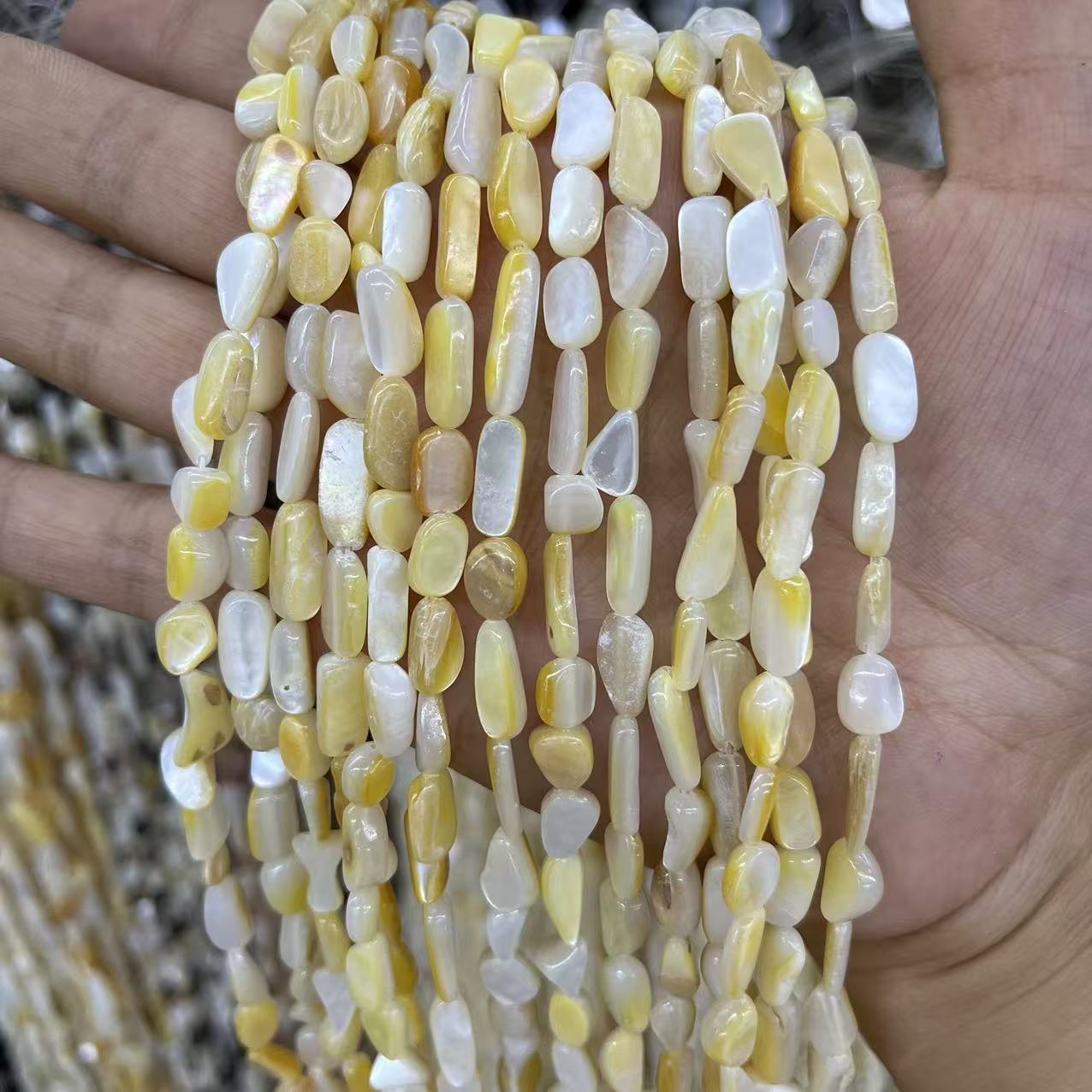 4:Yellow butterfly shell