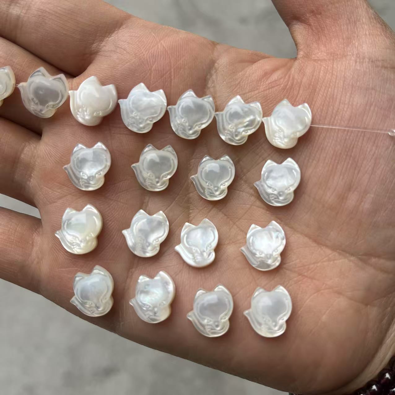 2:White butterfly shell