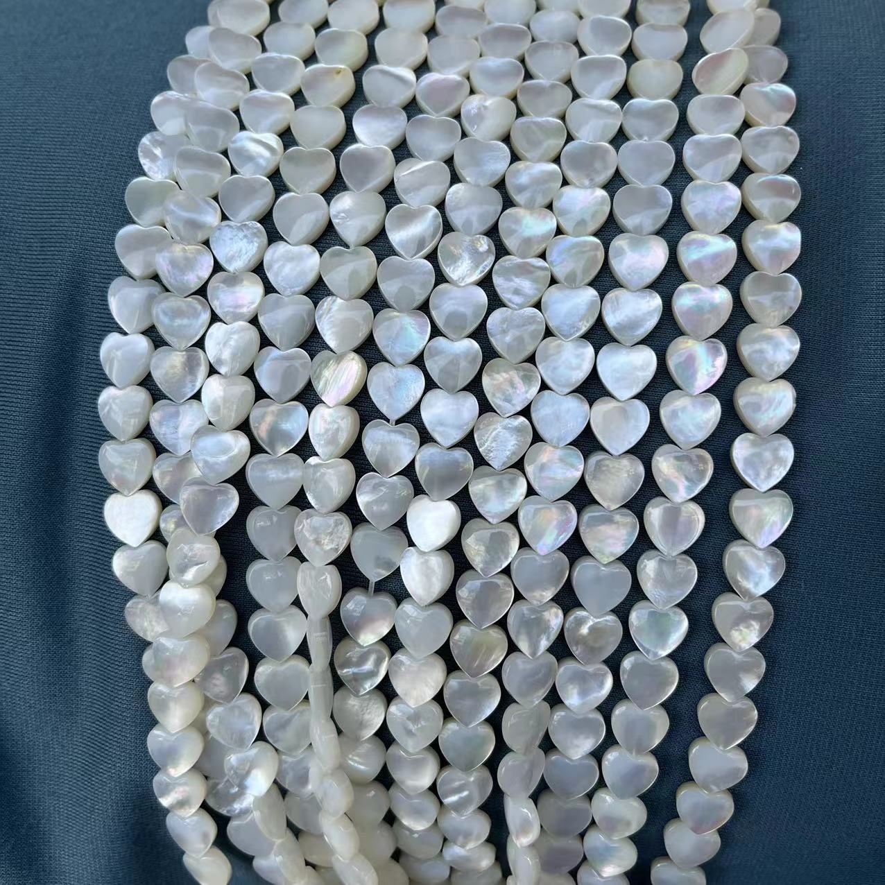 1:white butterfly shell