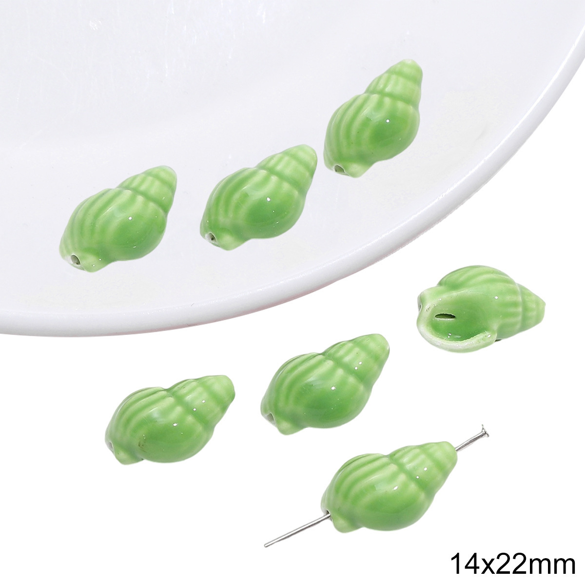 25:Conch 14x 22mm 1/bag