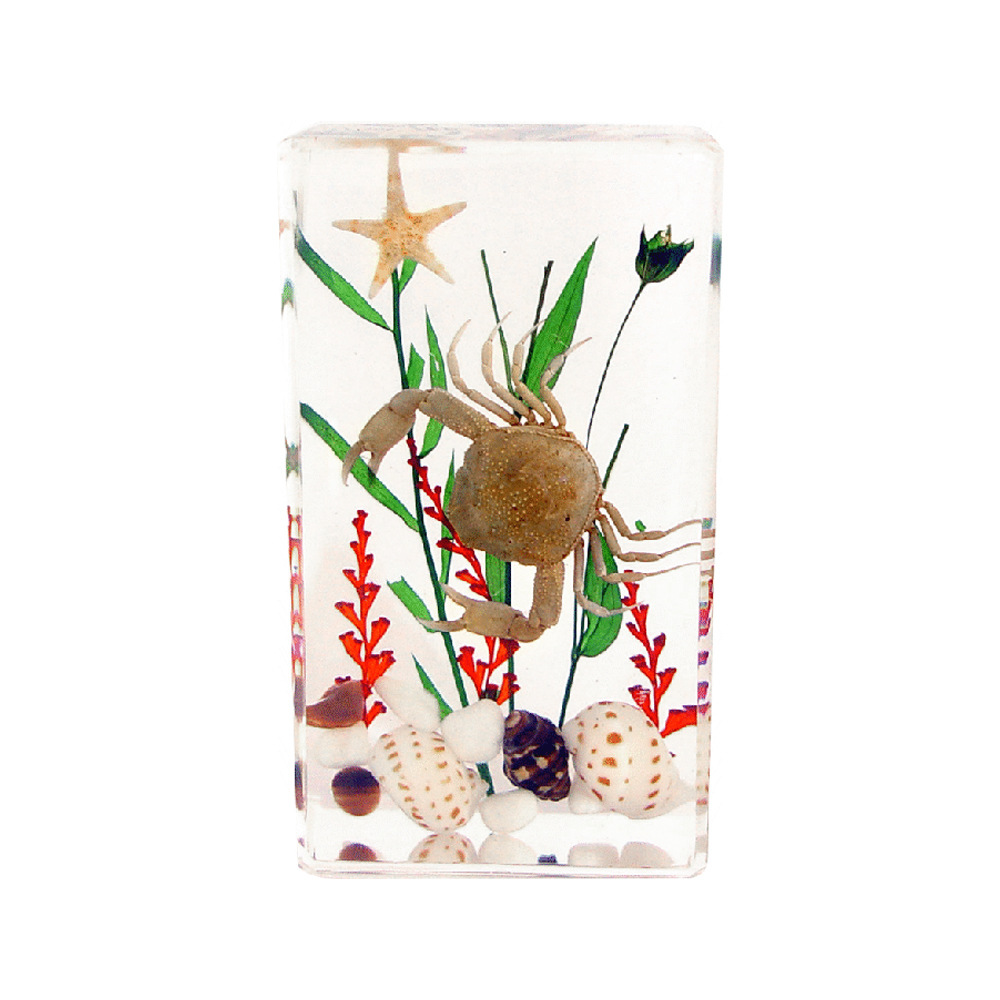 3:7.3CM Medium Stone Crab Seascape