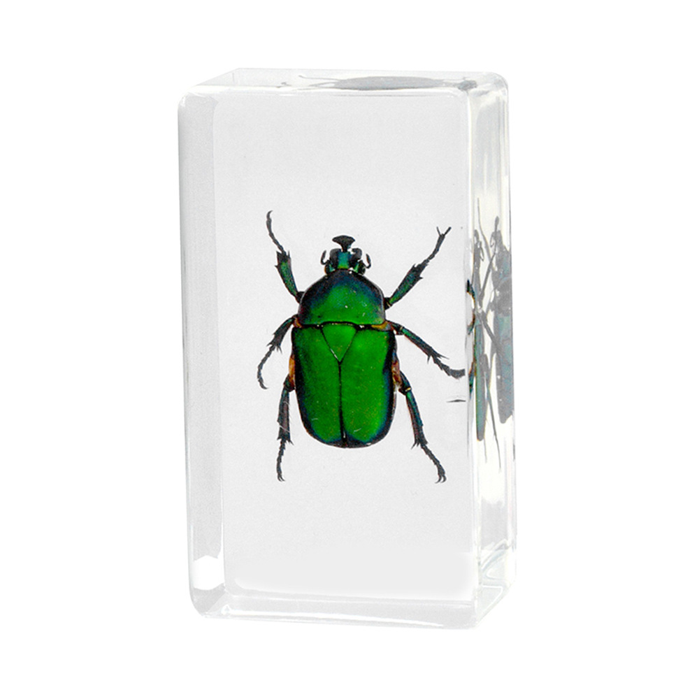 14:7.3CM medium hook emerald