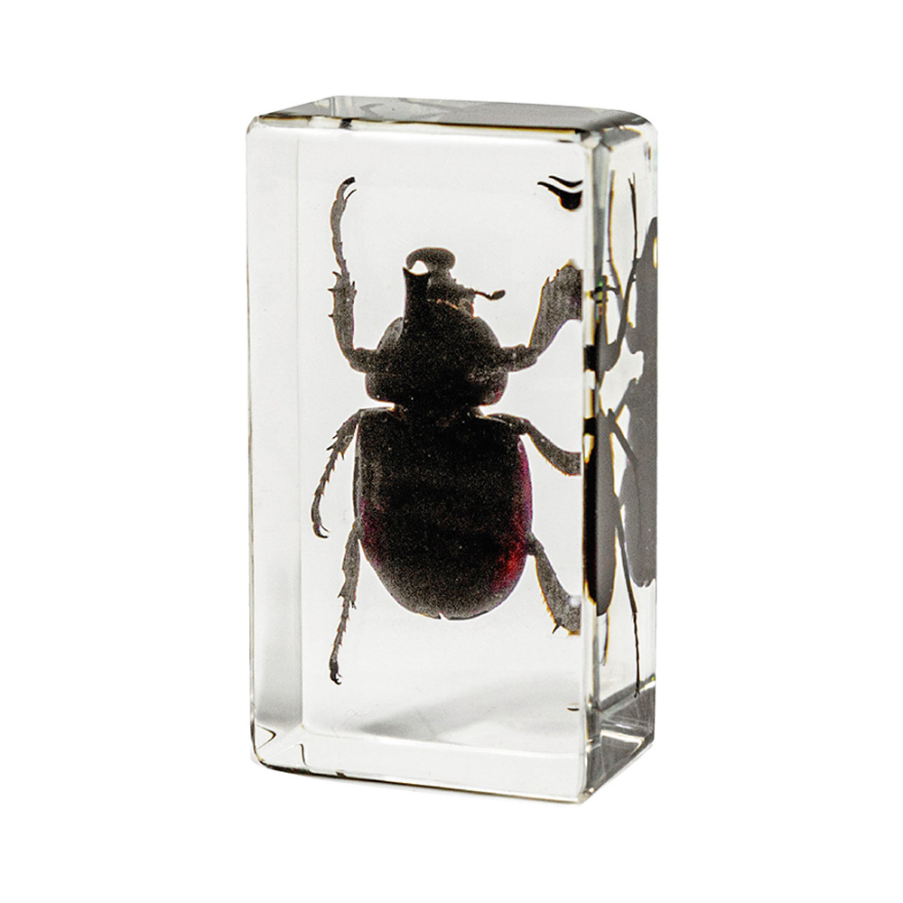 22:7.3CM medium unicorn