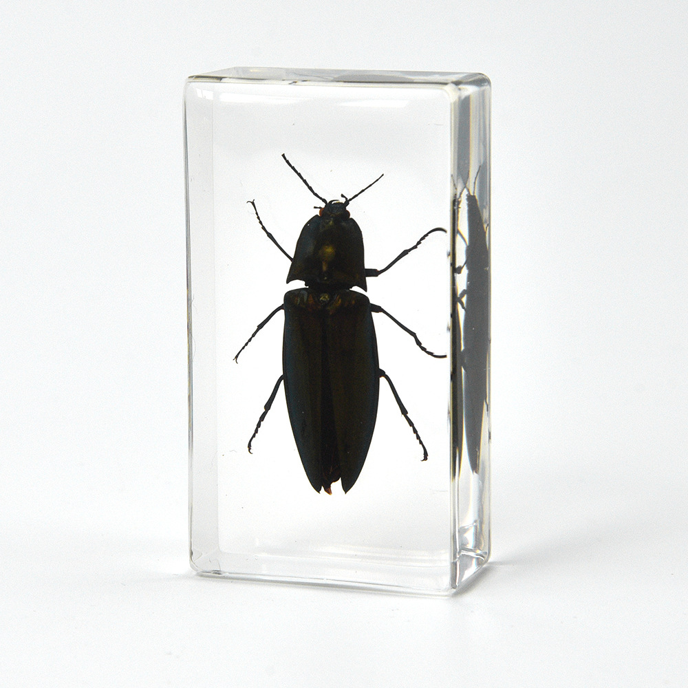 36:7.3CM Medium Li Knocking Armor (Jiding Worm)