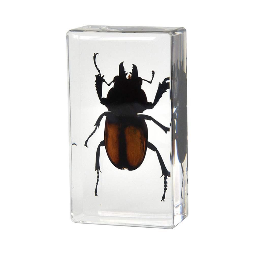 38:7.3CM medium light red spade armor