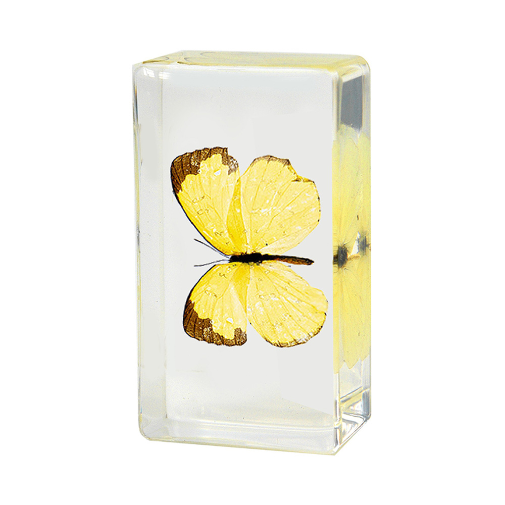 45:7.3CM medium small yellow pink butterfly