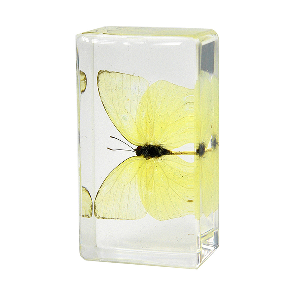 46:7.3CM medium green pink butterfly