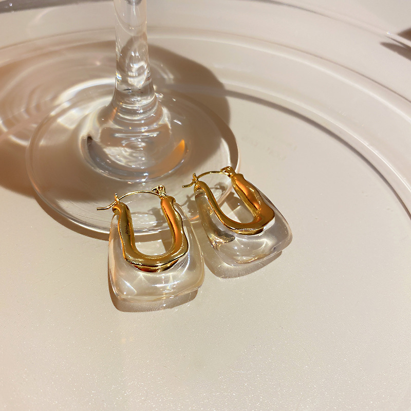 1:Transparent U-shaped earrings