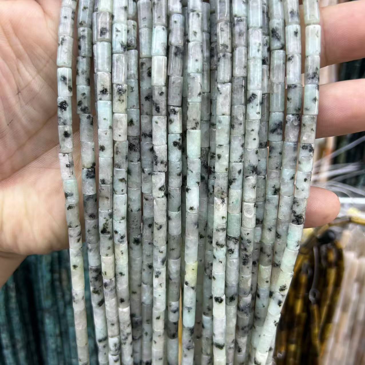 11:L-11 tianshan cui