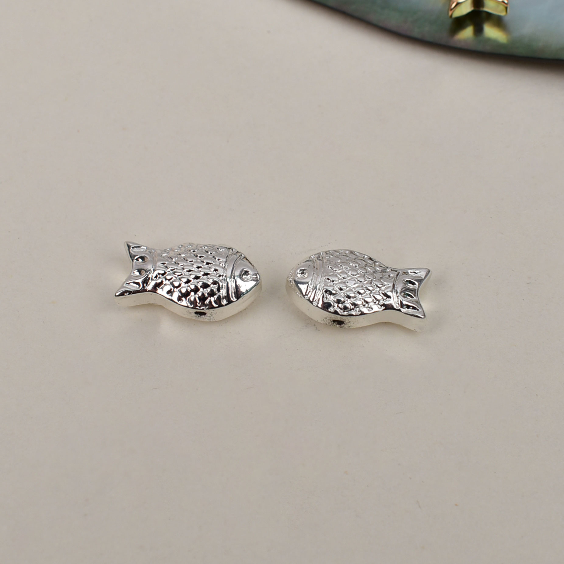 2:B011 small fish silver