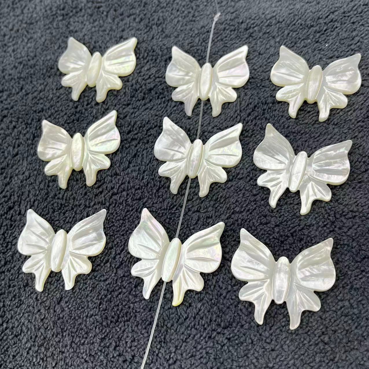 1 White Lip Shell