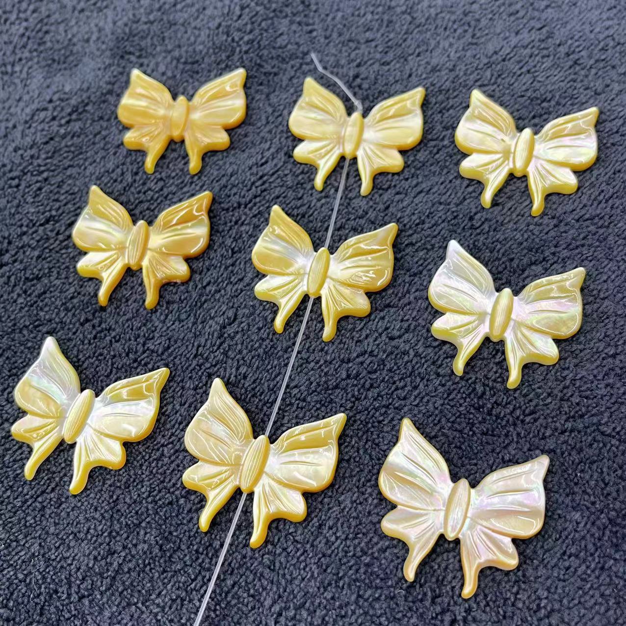 Yellow Lip Shell