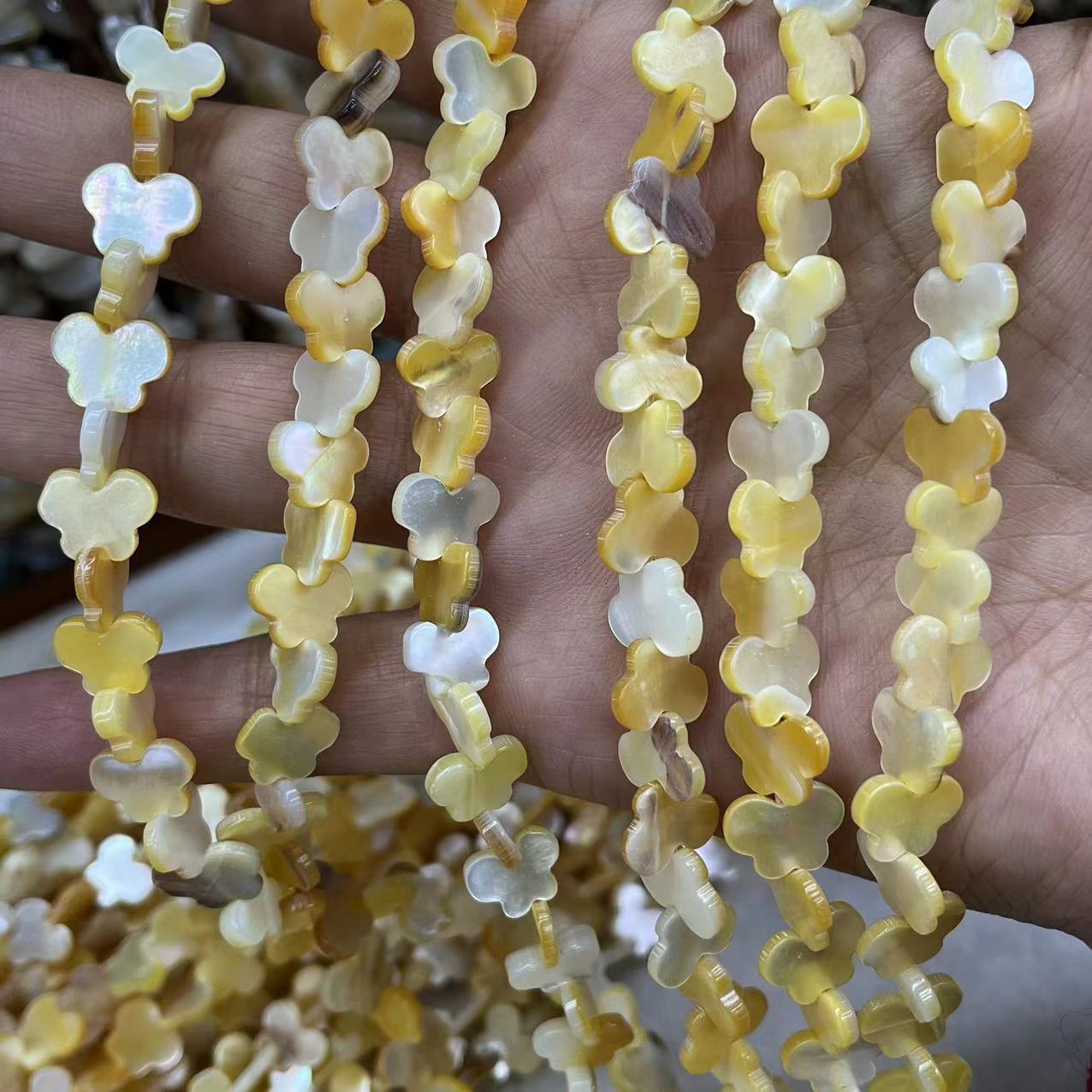 YellowLip Shell