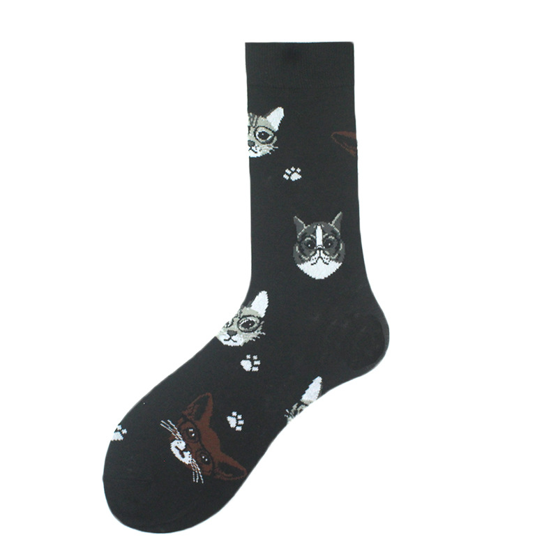 Cat and its footprints