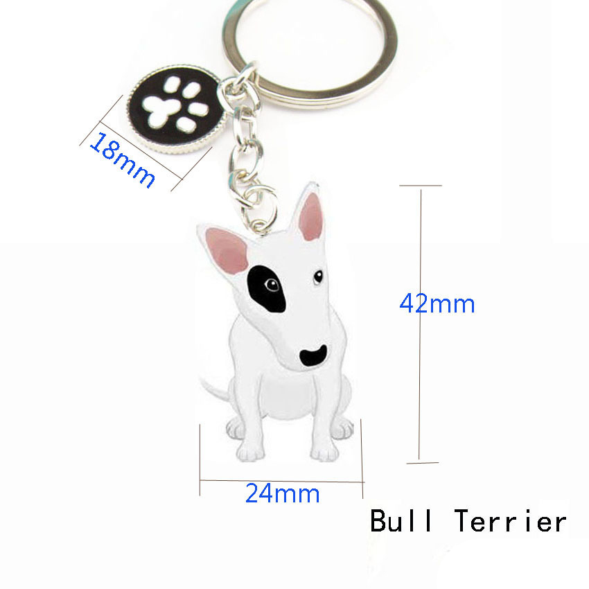 4:Bull terrier feet
