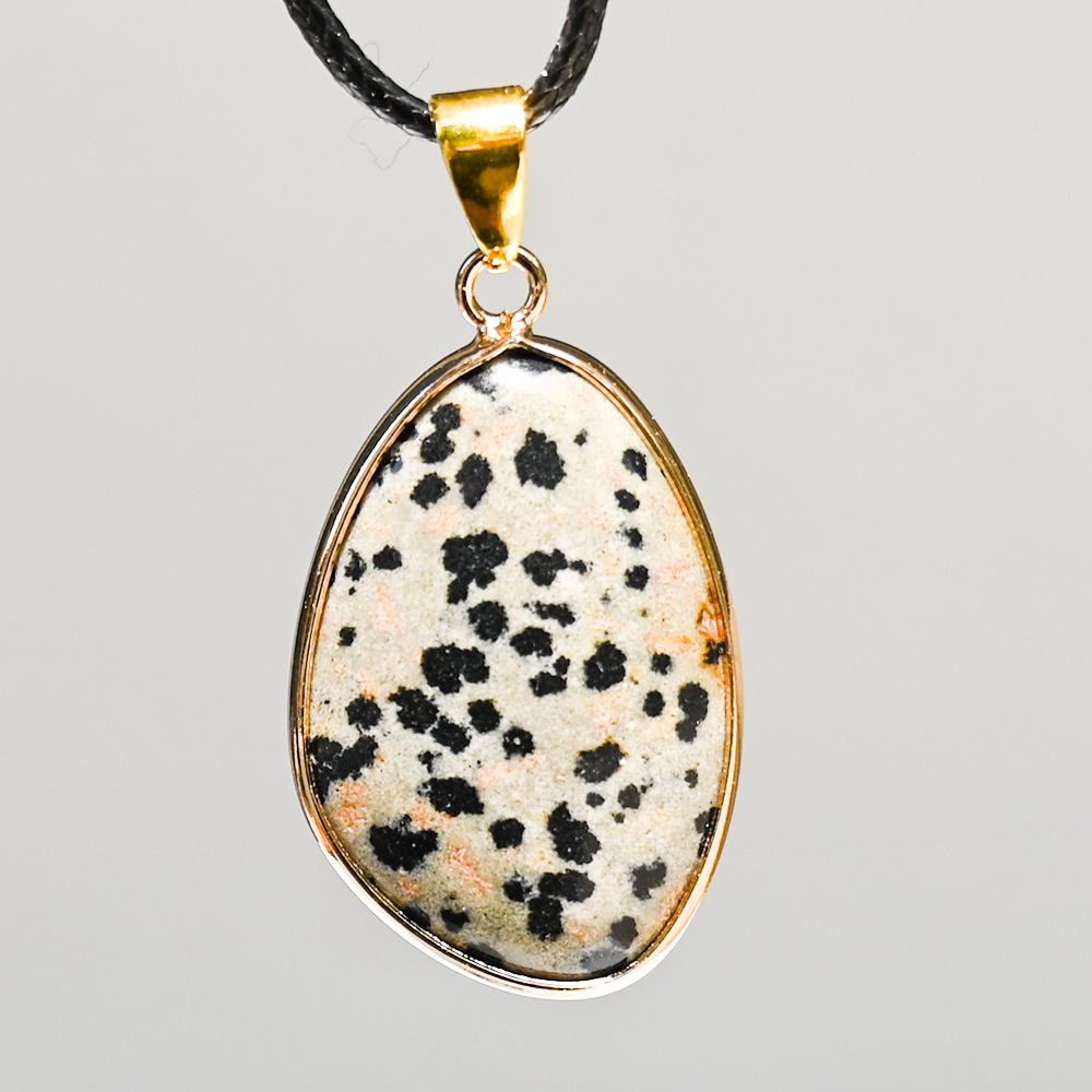 5:Dalmatian