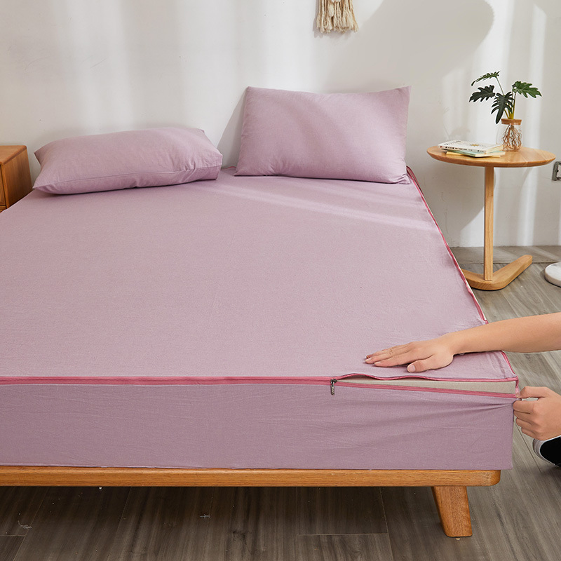 Iris pink and purple