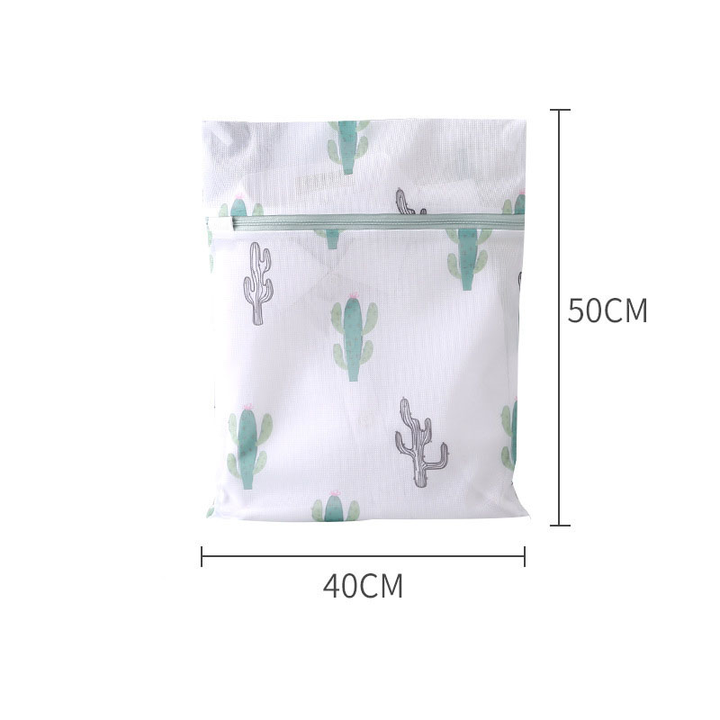 Cactus medium size (40*50cm)