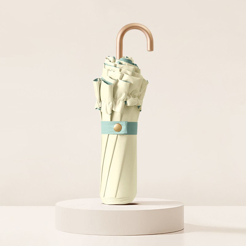 Sea salt cheese 70% off types