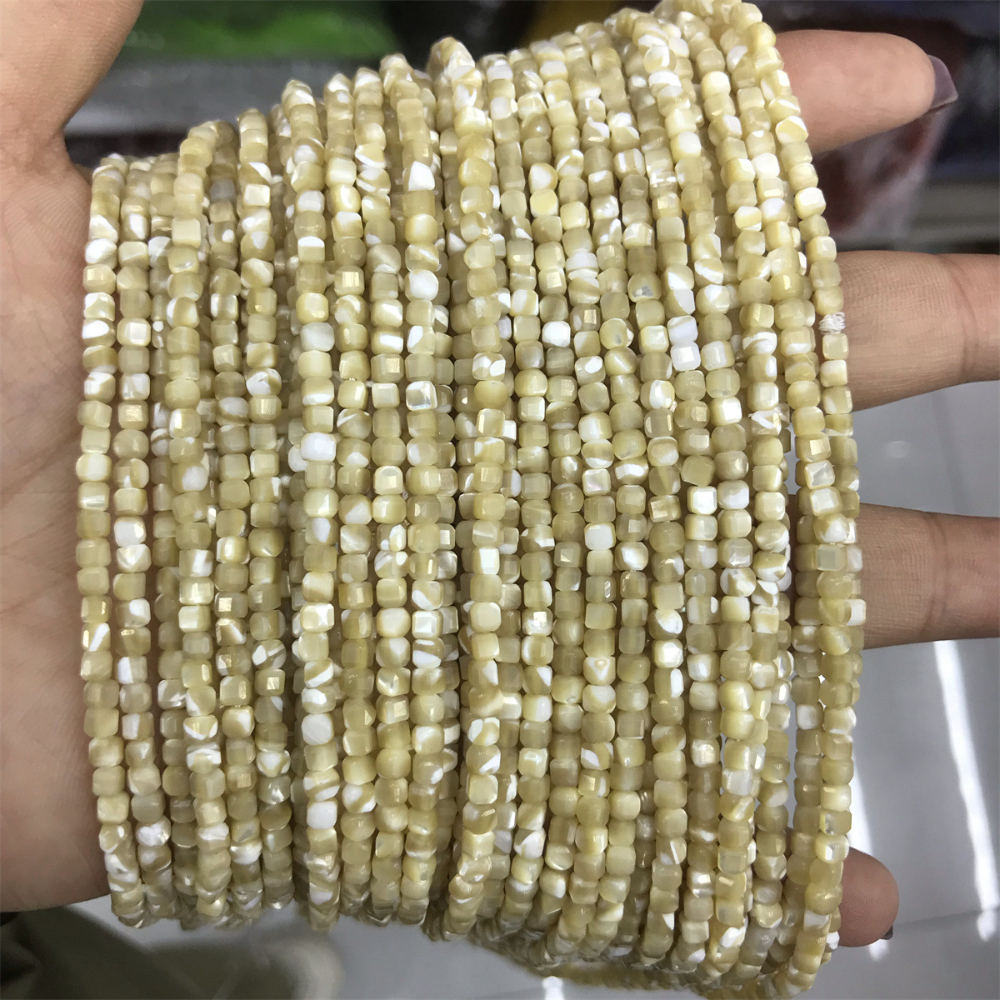 3:03-horseshoe snails