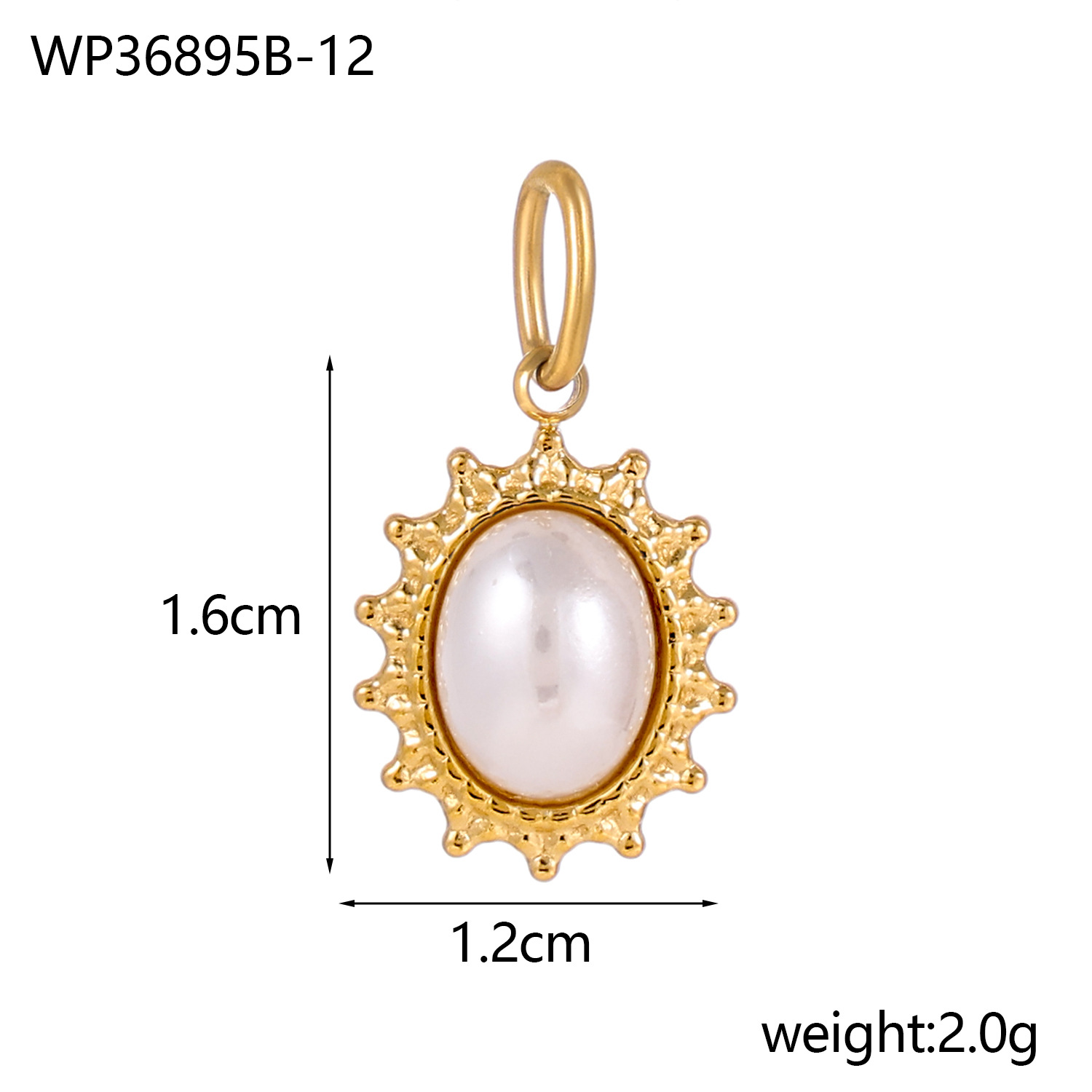 WP36895B-12