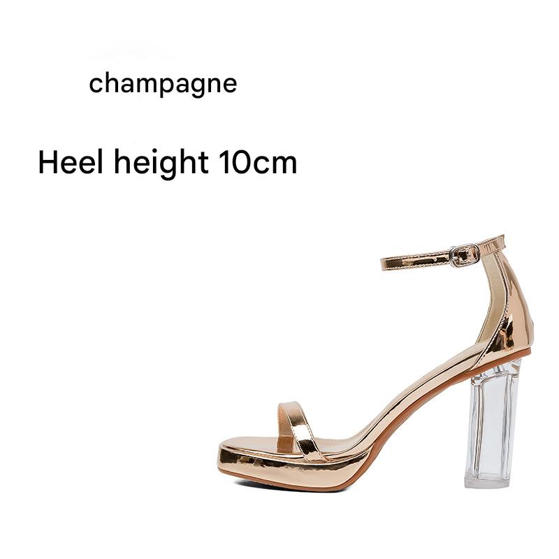 Champagne color [heel height 10cm]]