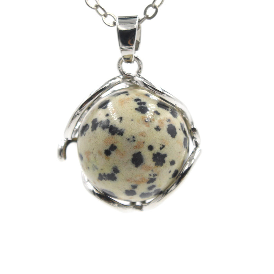 dalmatian