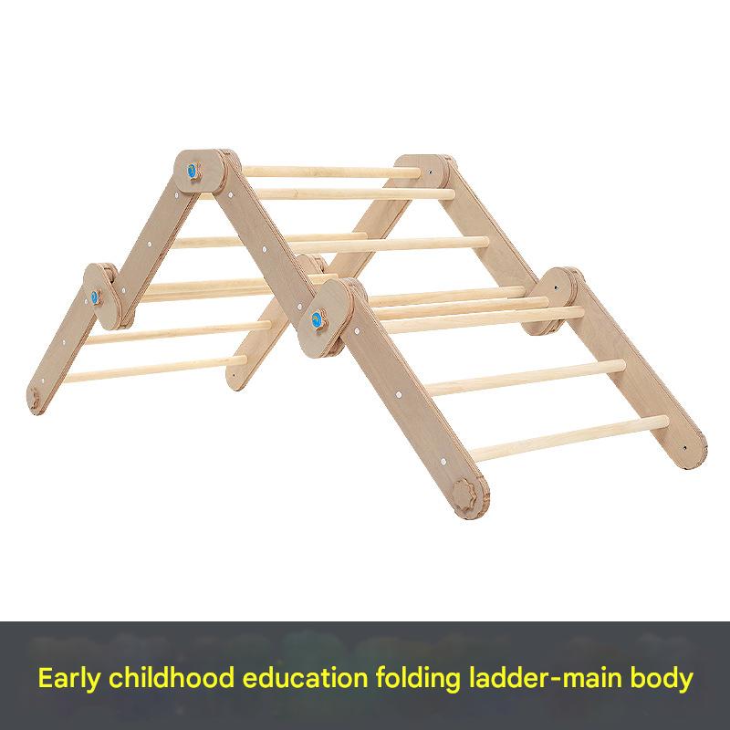 Folding ladder