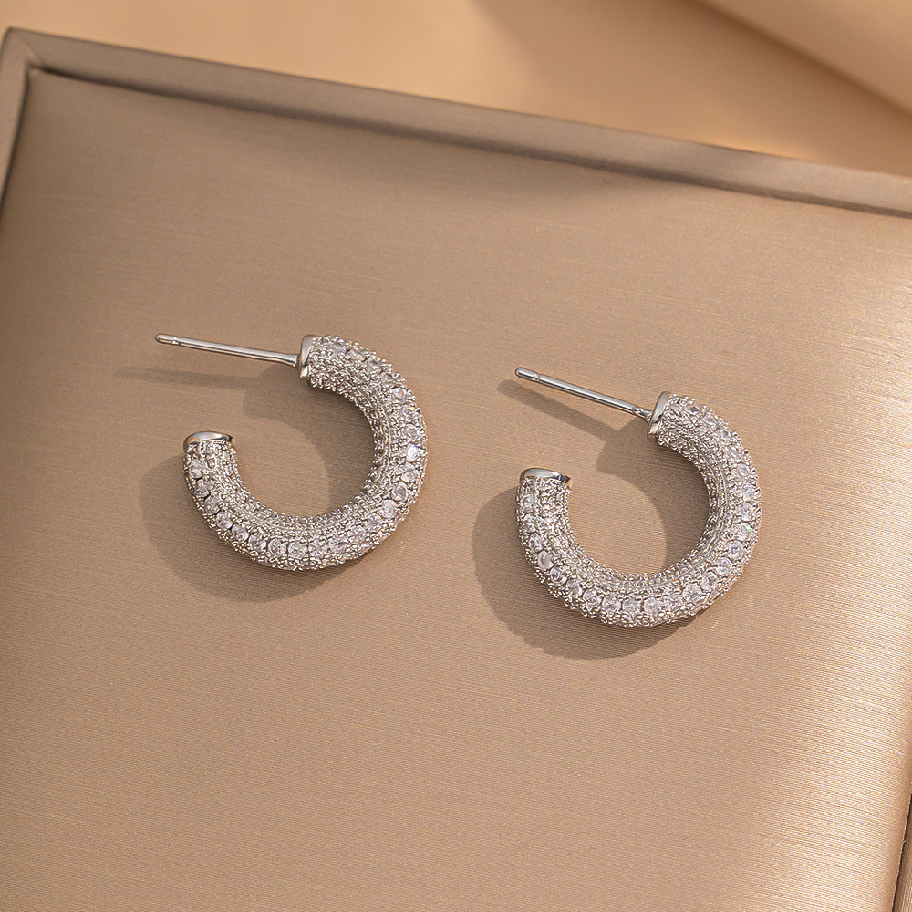 251 steel color cc full diamond earrings