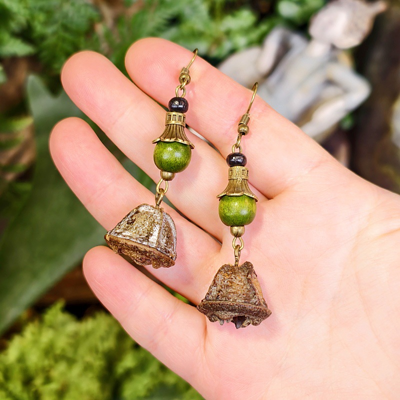 12:Eucalyptus fruit style