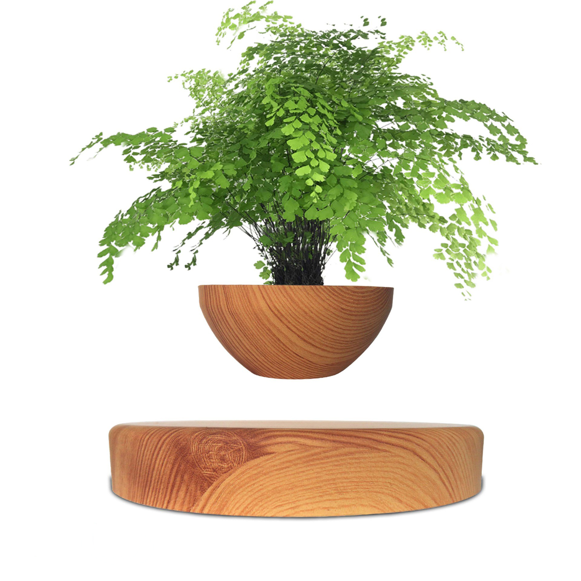 brown wood grain (excluding plants)