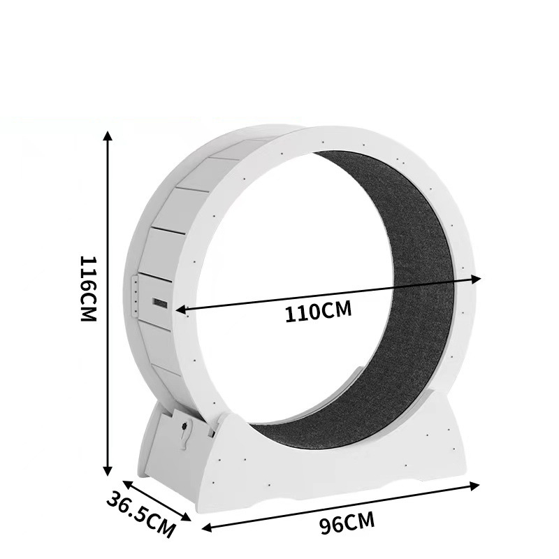 XL for cat within 14kg