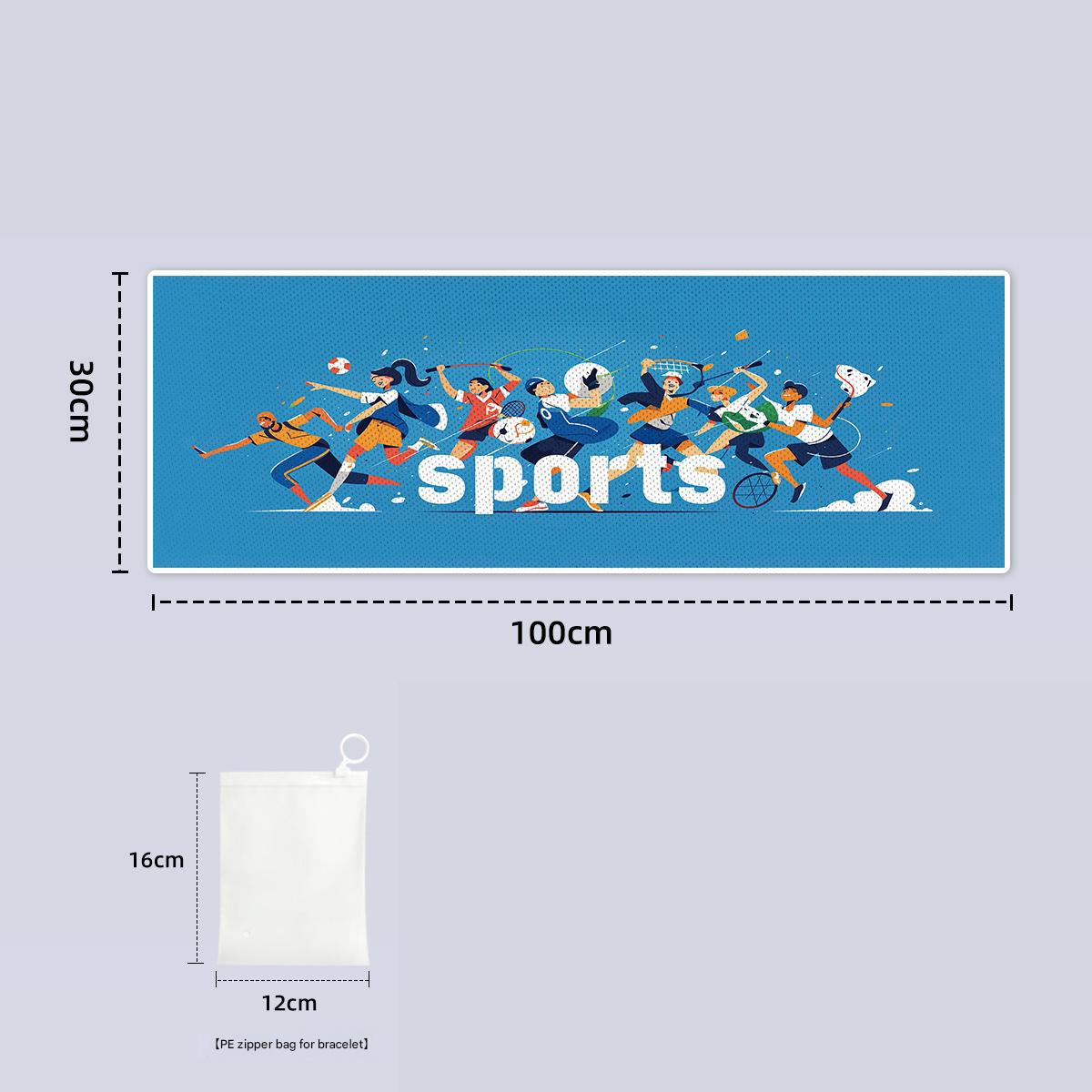 PE zipper bag with ring