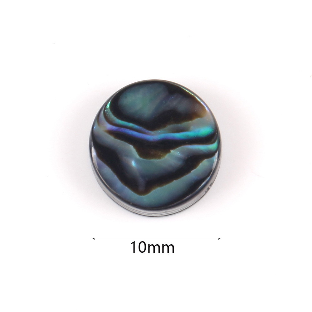 1:10mm round abalone shellfish