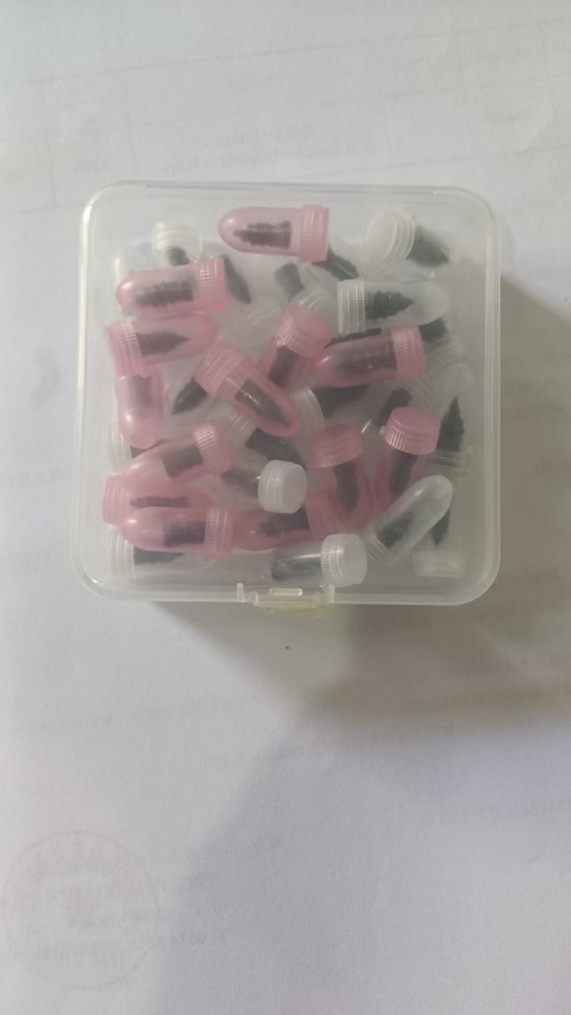 20 large and 20 small capsules in box