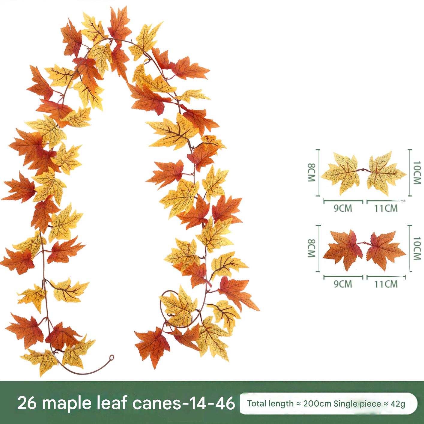 26 Maple Leafs 14-46